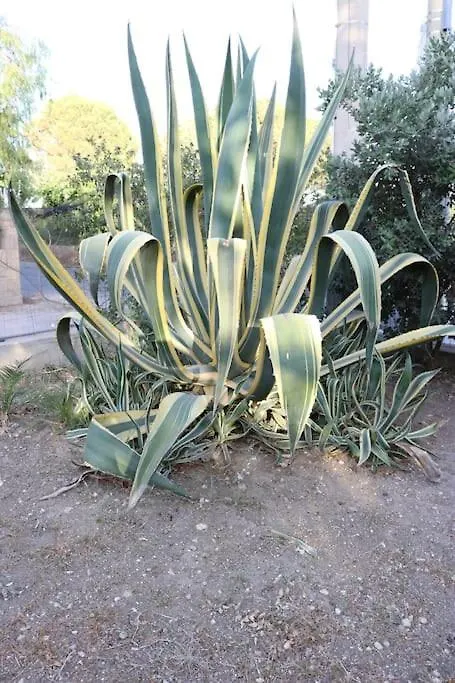 Casa de Férias Casetta Nel Verde Trapani